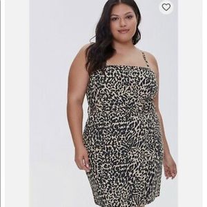 Plus Size dress